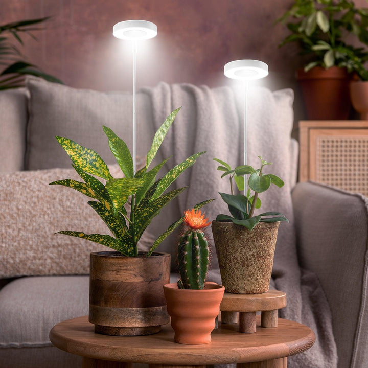 Seedfactor Full Spectrum Grow Lights for Indoor Plants - SeedFactor